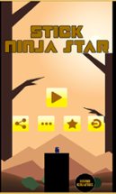 Stick NinjaStar Image