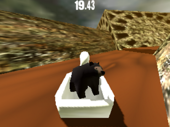 bear bird screenshot