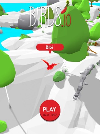 Birds.io! Image