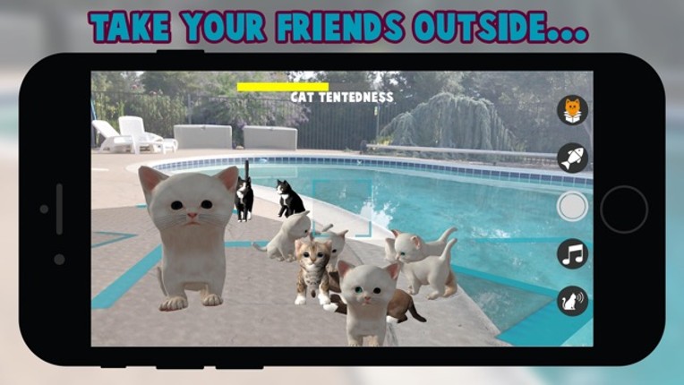 Cattery screenshot