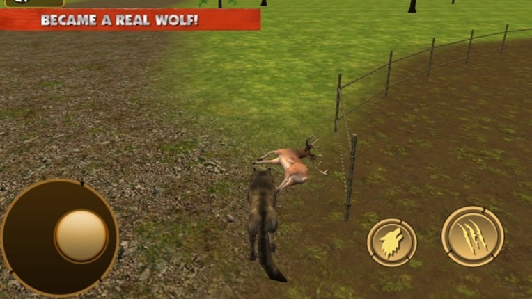 Wild Wolf Life Simulator Image