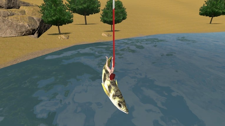 Bungee Fisher Image