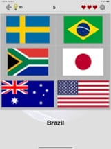 Flags of All World Countries Image