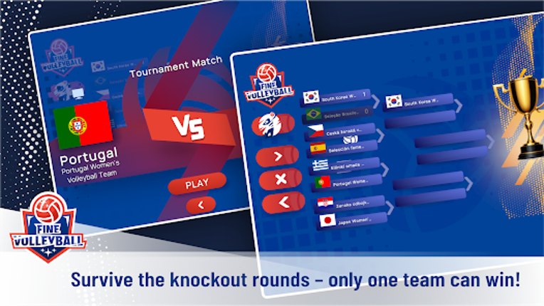 Fine Volleyball screenshot