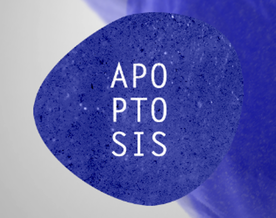 Apoptosis Image