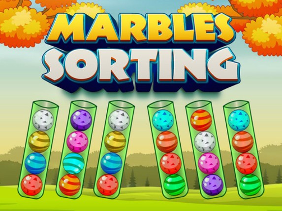 Marbles Sorting Game Cover