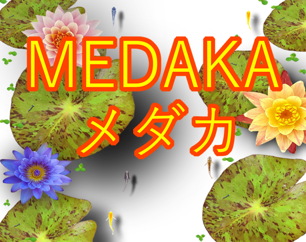 Games like MEDAKA
