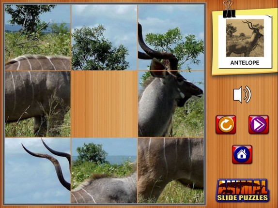 Kids Animal Slide Puzzle Ghép Hình Động Vật Cho Bé screenshot