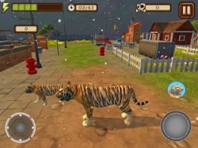 Tiger Rampage Image