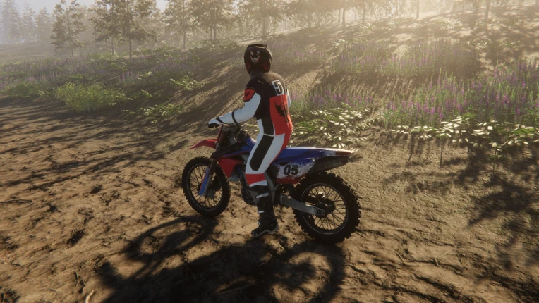 Enduro Unleashed Image