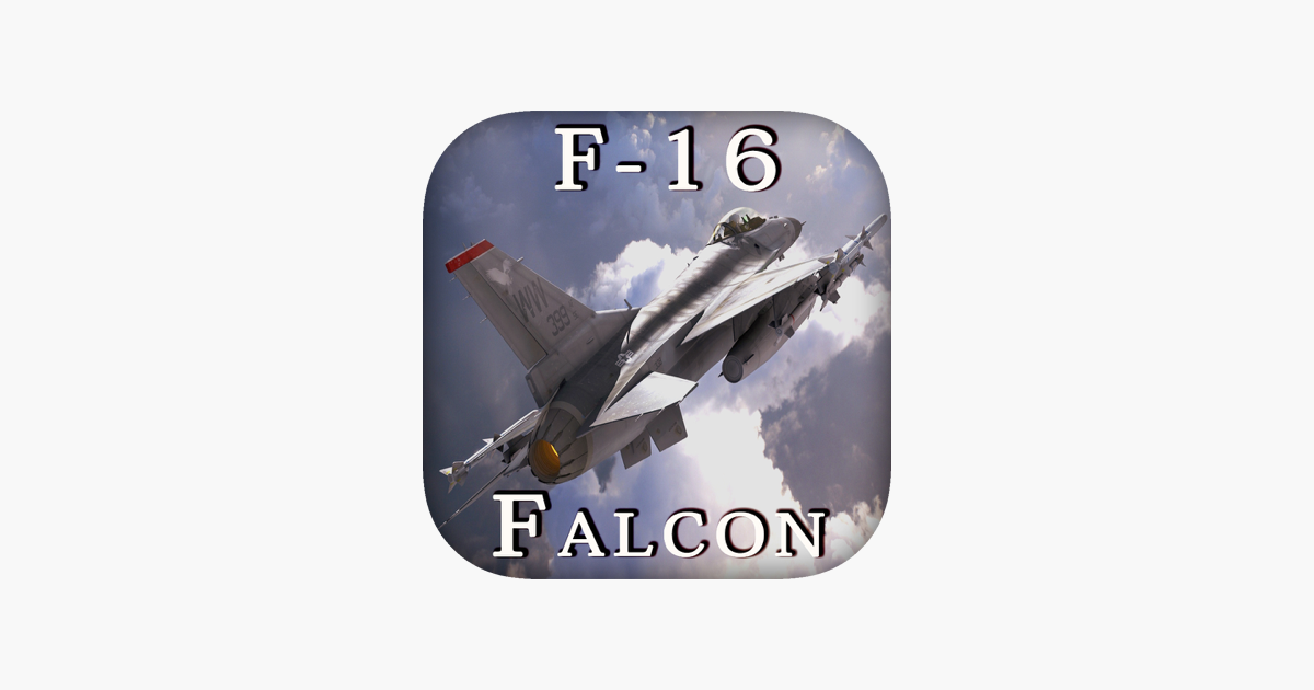 Games like F-16 Fighting Falcon - Combat Flight Simulator of Infinite Fighter Hunter
