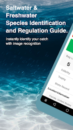 FishVerify: ID & Regulations Image