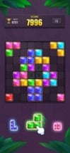 Block Puzzle: Jewel Blast Image