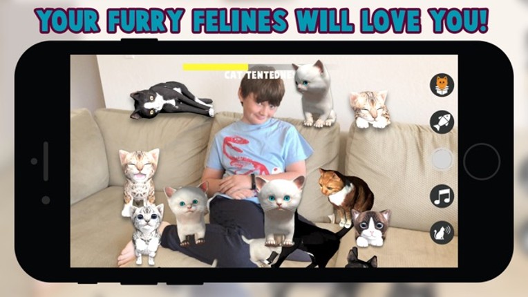 Cattery screenshot