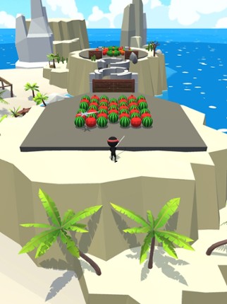 Crazy Ninja! Image