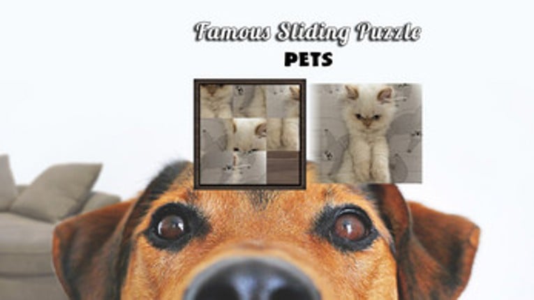 Famous Sliding Puzzle: Pets Image