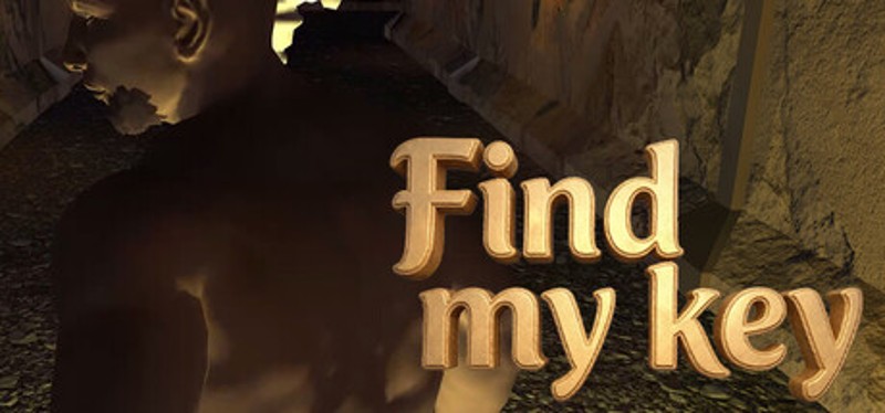 Find my key Image