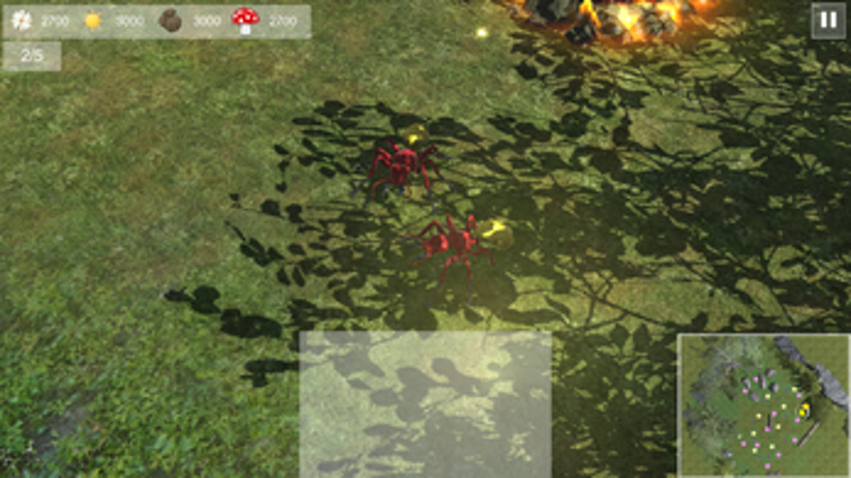 Insectum Bellum Image