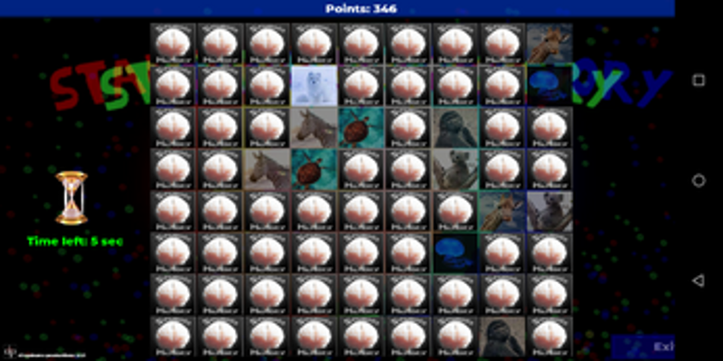 Standard Memory Image