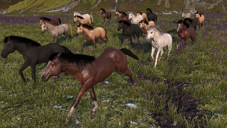 HORSE LIFE: find horses in open world, survive in wild nature as a foal or pony screenshot