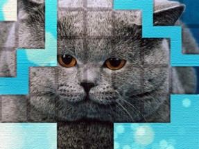 PicPu Cat Puzzle Image