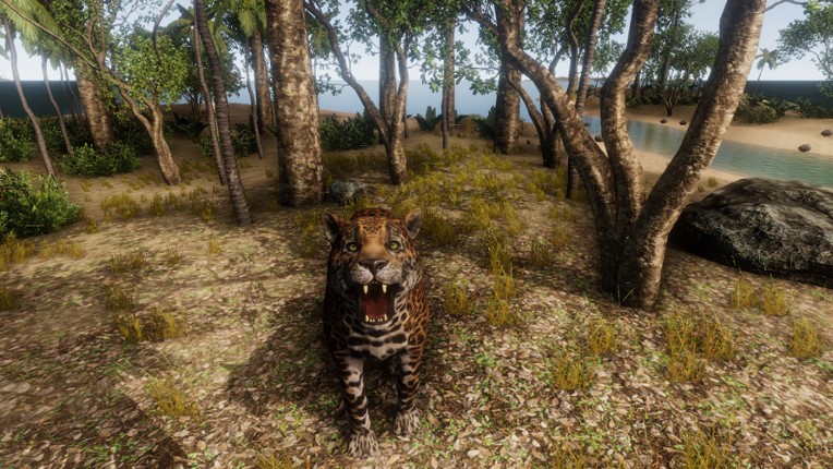 The Ocean screenshot