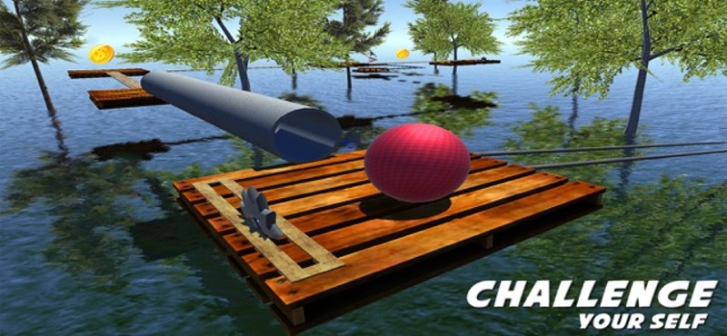 Balance The Crazy Ball Image