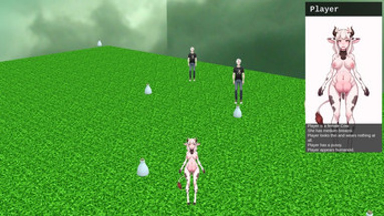 Transformation Simulator screenshot