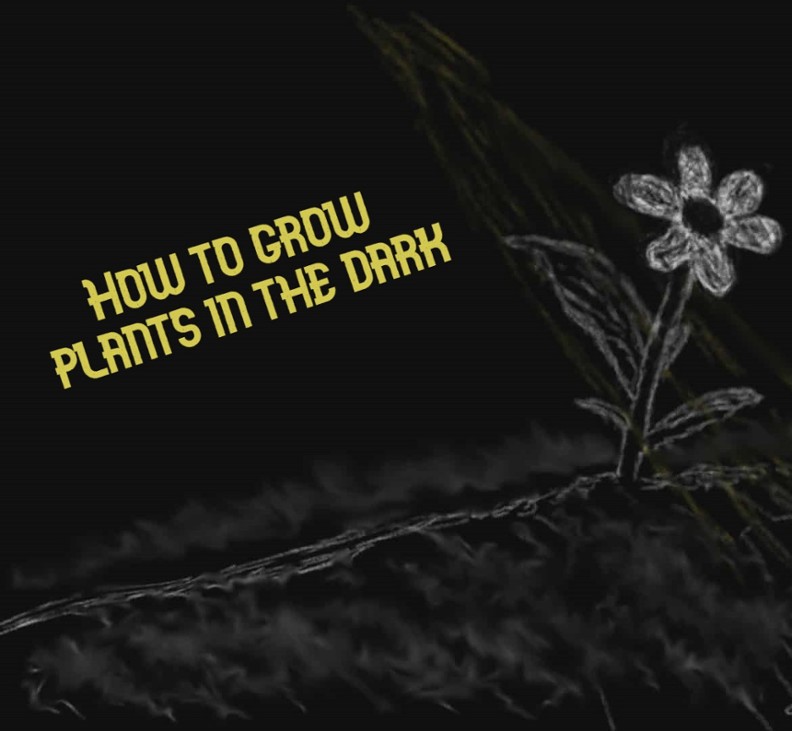 Games like How to Grow Plants in the Dark