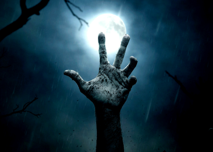 Games like Project-Z