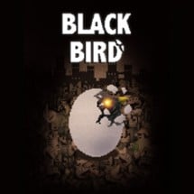 Black Bird Image