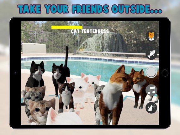 Cattery screenshot