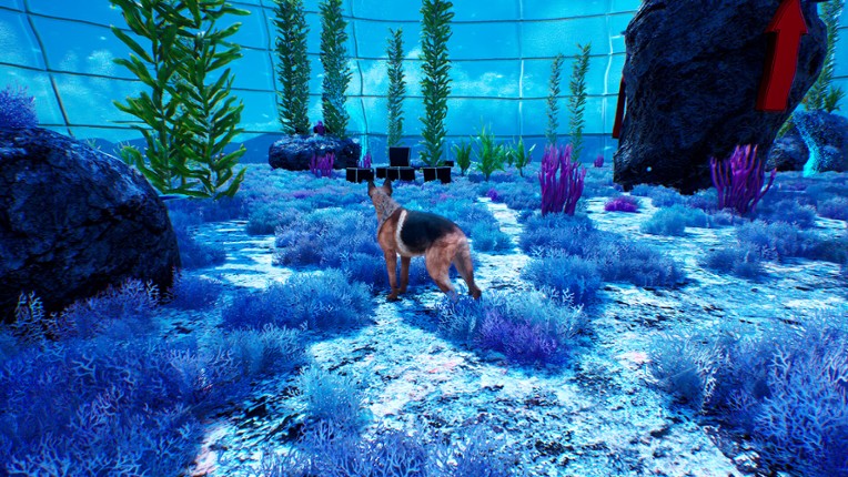 Doggy Up! screenshot