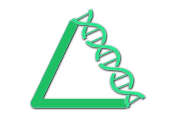 Projeto Delta Image