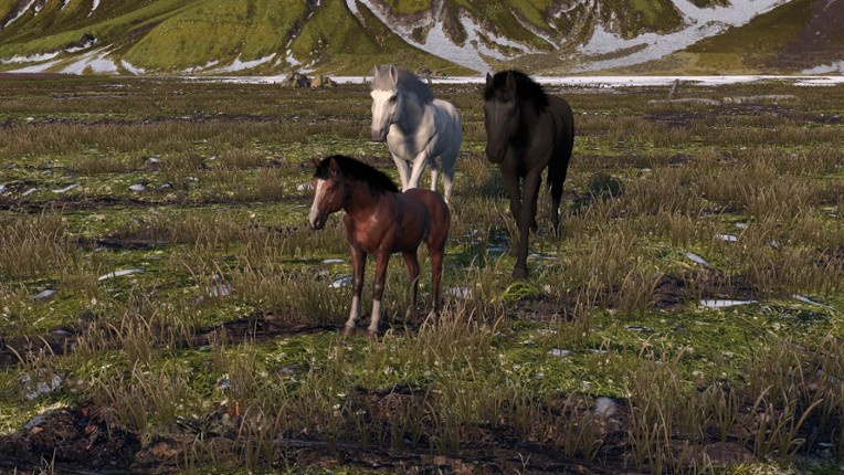 HORSE LIFE: find horses in open world, survive in wild nature as a foal or pony screenshot