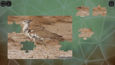 Puzzles for smart: Birds Image