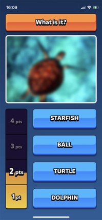 Blurry Quiz Image