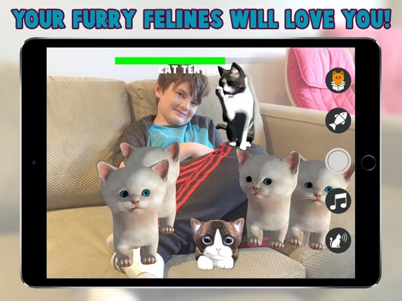 Cattery Image