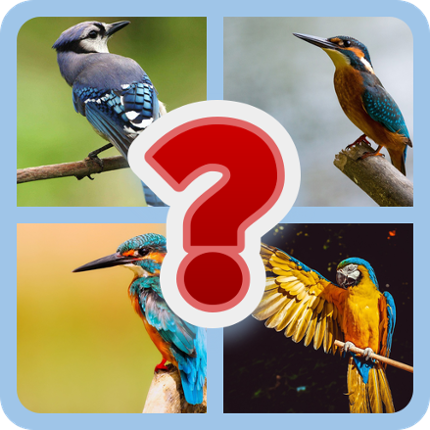 BIRD LOVER QUIZ! Image