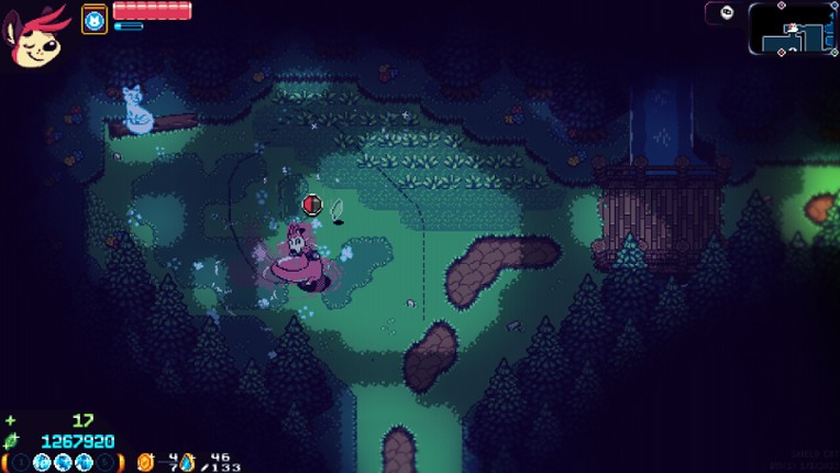 Shield Cat screenshot