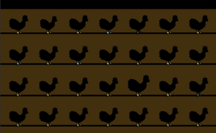 Too Many Chooks Image