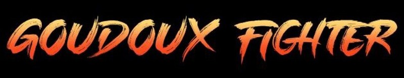 Goudoux Fighter Image