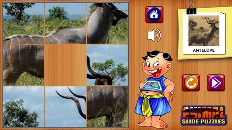 Kids Animal Slide Puzzle Ghép Hình Động Vật Cho Bé Image