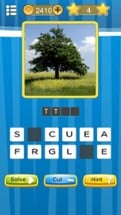 Photo Guess Quiz : Whats is words Image