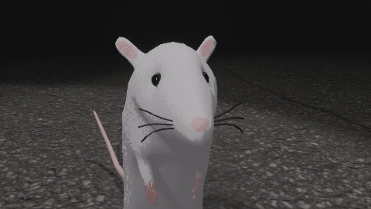 RatHole Image