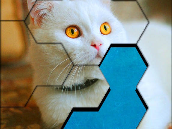 Blocks Hexa Jigsaw Puzzle™ Game Cover