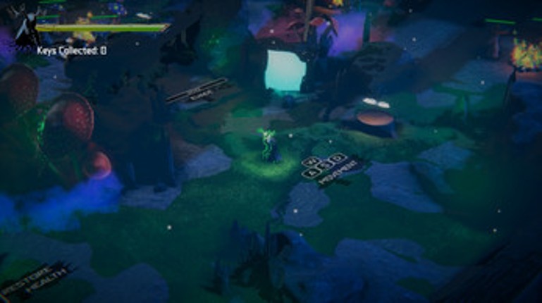 SHROOM INTERNAL Image