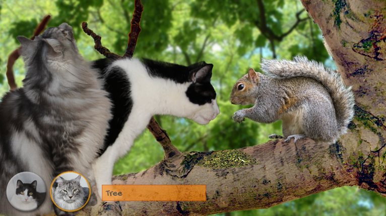Kitty Quest screenshot