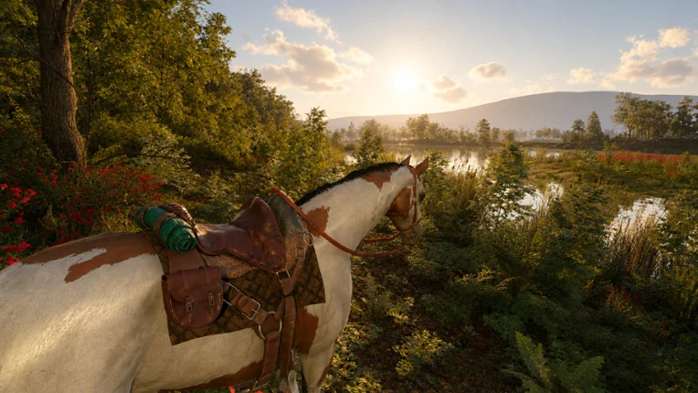 Medieval Horse Simulator Image