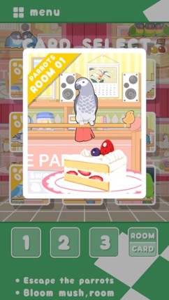 Parrots Escape screenshot